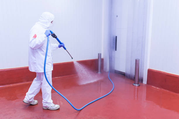 Best Graffiti Removal  in Toast, NC